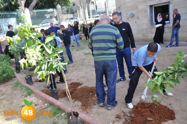 trees shamela 0321 (6).JPG